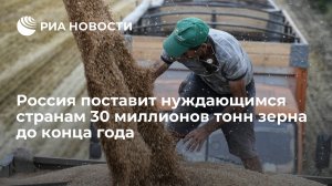 Россия поставит нуждающимся странам 30 миллионов тонн зерна до конца года