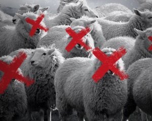 Джон Пилджер: молчание ягнят, или как работает западная пропаганда