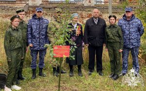 В Ивановской области росгвардейцы провели патриотическую акцию «Древо Сталинграда»