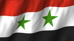 Сирия заявила о готовности признать результаты референдумов