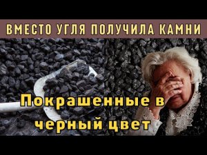 В Польше вместо угля стали продавать крашеные камни  (Правительство Польши обещало дешевый уголь. Мы проверили цены на складах. Лучше сядьте)