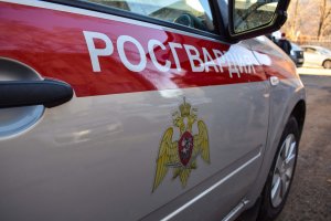 В Татарстане наряд ОВО Росгвардии задержал подозреваемого в грабеже из сетевого магазина