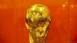 СМИ: Украина будет участвовать в заявке на проведение чемпионата мира по футболу 2030 года