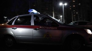 В г. Нижнекамске наряд Росгвардии задержал двоих подозреваемых в краже с проникновением