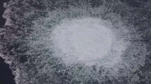 Минобороны обвинило ВМС Британии в подрыве "Северных потоков"