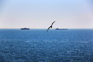 В Турции заявили, что РФ запретила некоторым судам проход через Керченский пролив