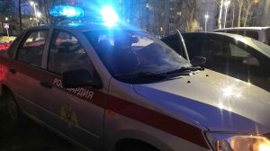 В Казани задержали подозреваемого в похищении новогодней елки