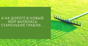 Строительство Атомной электростанции Билла Гейтса тормозится из-за отсутствия российского топлива
