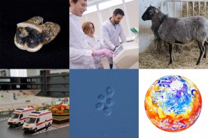 Итоги 2022 года: РНФ и «Российская газета» рассказали о ярких результатах исследований российских ученых