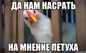 Руководство «Евровидения» рассказало о тяжелом решении по России