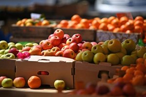 Россия увеличила экспорт продовольствия в дружественные страны