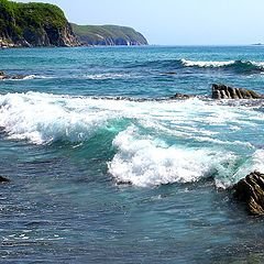 А лисички взяли спички: в России закипело море