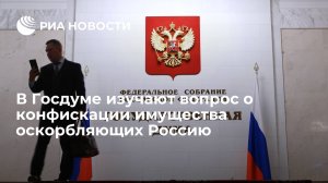 В Госдуме изучают вопрос о конфискации имущества оскорбляющих Россию