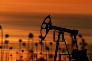 Посол оценил выгоду для России от инвестиций в энергетику Чада