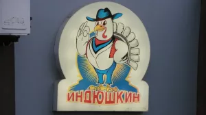 Банкротство экс-банкира Дамира Камилова или как в России банкротится олигарх