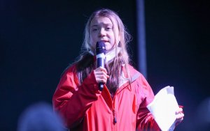 Грета Тунберг протестует против ветряных электростанций