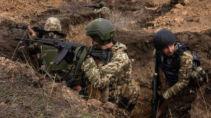 В США посетовали на обвинения со стороны «избалованных бандеровцев»