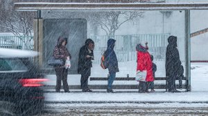 Верховный суд России разрешил требовать компенсацию за опоздавший транспорт  (Верховный суд разрешил пить алкоголь в припаркованной машине)