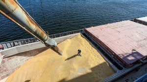 В Кремле прокомментировали продление зерновой сделки. Песков: власти надеются на реализацию второй части зерновой сделки, касающейся России