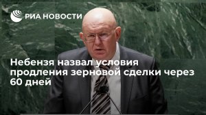 Небензя: Россия продлит зерновую сделку через 60 дней при прогрессе в исполнении ее части (Небензя назвал условия продления зерновой сделки через 60 дней )