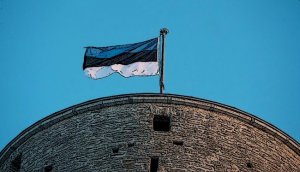 Глава Эстонии признал: часть молодежи нуждается в психиатрической помощи