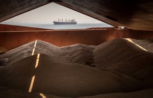 МИД: РФ приостановит участие в зерновой сделке при отсутствии прогресса по российской ее части