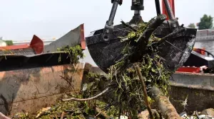 Российские ученые нашли экологичный способ защитить корпуса судов от обрастания водорослями