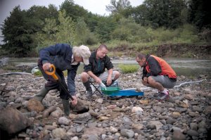 [Пилите, Шура!] Правительственная комиссия одобрила инициативу разрешить физлицам добывать золото
