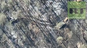Бой российского Т-72 с окопавшимися ВСУ в лесу показали на видео