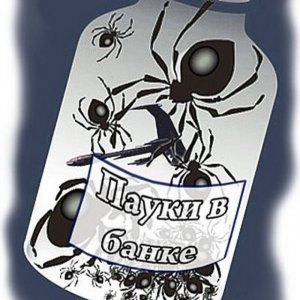 [Пауки в банке]Myśl Polska: Зеленский не стал извиняться за преступления Украины во время визита в Польшу