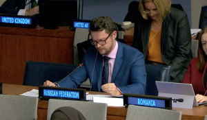 Российская Федерация не является участником Римского статута. Рассматриваем любые исходящие от МУС документы как незаконные и ничтожные  -С.А.Леонидченко