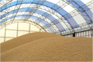 В Словакии запретили переработку и продажу зерна с Украины