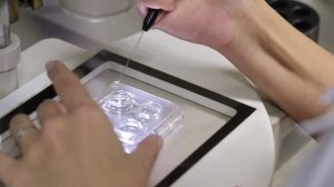 Родителей хотят обязать подтверждать родство при суррогатном материнстве