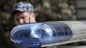 В Татарстане сотрудники вневедомственной охраны Росгвардии задержали подозреваемую в краже ювелирного украшения у знакомой