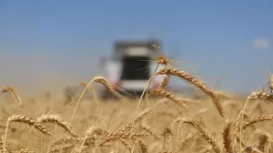 RMF: Еврокомиссия выразила готовность расширить запрет на импорт продуктов с Украины