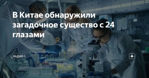 В Китае обнаружили загадочное существо с 24 глазами