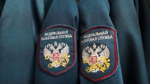 Baza: в налоговой создали отдел для проверки блогеров, зарабатывающих через соцсети