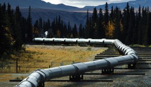 В Венгрии назвали теракт против нефтепровода "Дружба" угрозой своей безопасности