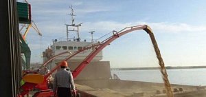 Сытый англосакс голодного не разумеет. Масштабы нынешнего глобального голода ошеломляют