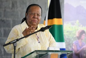 ЮАР ответила на обвинения США в поставках оружия России вызовом американского посла в МИД страны