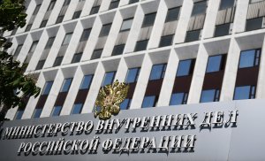 В Россию из Ирака экстрадировали участницу ИГ Лейлу Гатагажеву