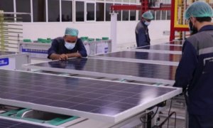 Первые радости: в Герате компания стала выпускать по 300 солнечных панелей в день