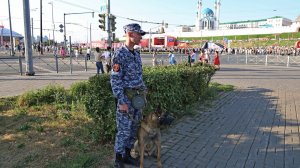 В Казани Росгвардия приняла участие в обеспечении безопасности старта Международного ралли «Шелковый путь»