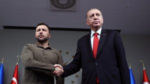 В Совфеде констатировали превращение Турции в недружественную страну  (Песков заявил, что РФ хочет получить разъяснение Турции по "азовцам"*)