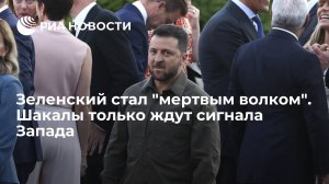 [Статья]  Зеленский стал "мертвым волком". Шакалы только ждут сигнала Запада