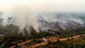 «Авиалесоохрана»: за сутки в России потушили 64 природных пожара в 19 российских регионах. В тушении задействованы 3494 человека, 400 единиц спецтехники, а также 53 воздушных судна