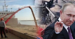 Почувствовали даже американцы: Politico рассказывает, как выход РФ из зерновой сделки сказался на США