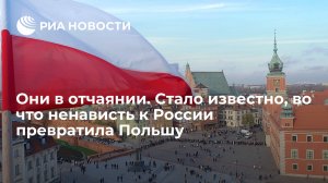 Myśl Polska: Польша оказалась в отчаянном положении из-за поддержки Украины