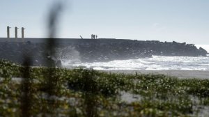 Захарова указала на молчание экологов по вопросу сброса воды с "Фукусимы"