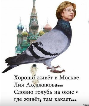 МВД начало проверку в отношении Ахеджаковой по статье о дискредитации ВС РФ. Народная артистка России вышла на сцену в Бремене, где проходил спектакль с ее участием, с украинским флагом
